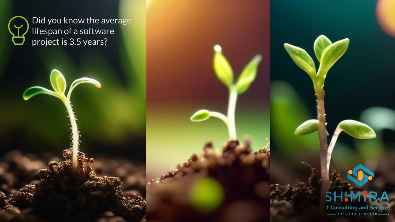 A seedling growing into a plant.