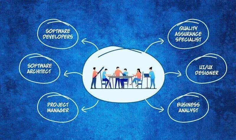 Team roles