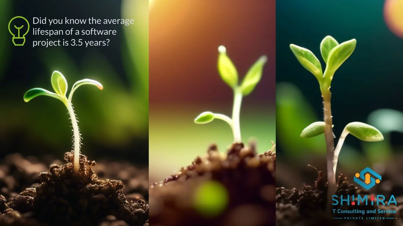 A seedling growing into a tree